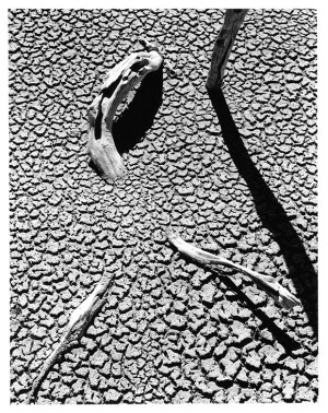 John Cato Retrospective at BIFB 2013